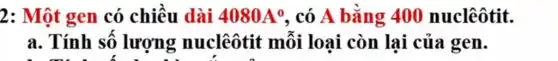 2: Một gen có chiều dài 4080A^circ  , có A bǎng 400 nuclêôtit.
a. Tính số lượng nuclêôtit mỗi loại còn lại của gen.