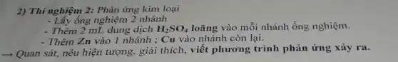 2) Thí nghiệm 2: Phản ứng kim loại
- Lấy ống nghiệm 2 nhánh
- Thêm 2 mL dung dịch H_(2)SO_(4) loãng vào mỗi nhánh ống nghiệm.
- Thêm Zn vào 1 nhánh ; Cu vào nhánh còn lại.
­­­­→ Quan sát, nêu hiện tượng, giải thích, viết phương trình phản ứng xảy ra.