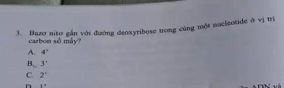 3. Bazơ nitơ gắn với đường deoxyribose trong cùng một nucleotide ở vị trí
carbon số mấy?
A. 4'
B. 3'
C. 2'
D. . 1,