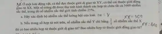 3,2. Ở một loài động vật, cá thể đực thuộc giới dị giao tử XY, cá thể cái thuộc giới đồng
giao tử XX. Một số trứng đã được thụ tinh hình thành các hợp tử chứa tất cả 5600 nhiễm
sắc thể, trong đó số nhiễm sắc thể giới tính chiếm 25% 
a. Hãy xác định bộ nhiễm sắc thể lưỡng bội của loài.
zn=v
b. Nếu trong số hợp tử nói trên số nhiễm sắc thể Y chi bằng (2)/(5) số nhiễm sắc thể X
thì có bao nhiêu hợp tử thuộc giới dị giao tử? Bao nhiêu hợp từ thuộc giới đồng giao tử?