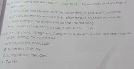 32.2. Hiện tượng nào dưới đây cho thấy sự vận chuyển nước từ rélên thán
thực vật?
A. Khi cát bó một khoanh vỏ ở thán, phần mép vỏ phía dưới bị phinh to.
B. Khi cát bó một khoanh vò ở thân, phần mép vỏ phía trên bị phinh to.
C. Hiện tượng lá cây bị héo quát do Mặt Trời đốt nóng.
D. Khingát bó phân thân của cây.ở vết cắt có rinhua.
32.3. Khi tiến hành thí nghiệm chứng minh lá thoát hơi nước nên chọn loại túi
có đặc điểm gì để trùm lên lá?
A. Túi nylon kin , trong suốt.
B. Túi có đục lô thùng.
C. Túi nylon kín , màu đen.
D. Túi vải.