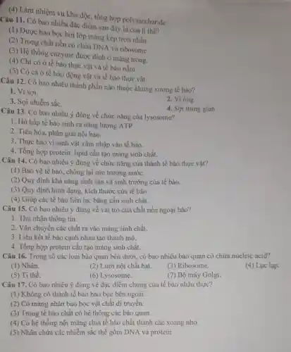 (4) Làm nhiệm vụ khử độc, tổng hợp polysaccharide.
Câu 11. Có bao nhiêu đặc điểm sau đây là của ti thể?
(1) Được bao bọc bởi lớp màng kép trơn nhằn.
(2) Trong chất nền có chứa DNA và ribosome
(3) Hệ thống enzyme được đính ở màng trong.
(4) Chỉ có ở tế bào thực vật và tế bào nấm
(5) Có cả ở tế bào động vật và tế bào thực vật.
Câu 12. Có bao nhiêu thành phần nào thuộc khung xương tế bào?
1. Vi sợi.
3. Sợi nhiễm sắc.
2. Viống
4. Sợi trung gian
Câu 13. Có bao nhiêu ý đúng về chức nǎng của lysosome?
1. Hô hấp tế bảo sinh ra nǎng lượng ATP.
2. Tiêu hóa, phân giải nội bào.
3. Thực bào vi sinh vật xâm nhập vào tế bào.
4. Tổng hợp protein , lipid cấu tạo màng sinh chất.
Câu 14. Có bao nhiêu ý đúng về chức nǎng của thành tế bào thực vật?
(1) Bảo vệ tế bào, chống lại sức trương nước.
(2) Quy định khả nǎng sinh sản và sinh trưởng của tế bào.
(3) Quy định hình dạng, kích thước của tế bào.
(4) Giúp các tế bào liên lạc bằng cầu sinh chất.
Câu 15. Có bao nhiêu ý đúng về vai trò của chất nền ngoại bào?
1. Thu nhận thông tin.
2. Vận chuyển các chất ra vào màng sinh chất.
3. Liên kết tế bào cạnh nhau tạo thành mô.
4. Tổng hợp protein câu tạo màng sinh chât.
Câu 16. Trong số các loại bào quan bên dưới, có bao nhiêu bào quan có chứa nucleic acid?
(1) Nhân.
(2) Lưới nội chất hạt.
(3) Ribosome.
(4) Lục lạp.
(5) Ti thể.
(6) Lysosome.
(7) Bộ máy Golgi.
Câu 17. Có bao nhiêu ý đúng về đặc điểm chung của tế bào nhân thực?
(1) Không có thành tế bào bao bọc bên ngoài.
(2) Có màng nhân bao bọc vật chất di truyên.
(3) Trong tế bào chất có hệ thống các bào quan.
(4) Có hệ thống nội màng chia tế bào chất thành các xoang nhỏ.
(5) Nhân chứa các nhiễm sắc thể gồm DNA và protein.