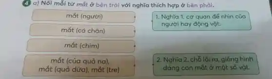 (4) a) Nối mỗi từ mắt ở bên trái với nghĩa thích hợp ở bên phải.
mắt (người)
mắt (cá chân)
mắt (chim)
mắt (của quả na),
mắt (quả dứa), mắt (tre)
1. Nghĩa 1 . cơ quan để nhìn của
người hay động vật.
2. Nghĩa 2 . chỗ lồi ra, c giống hình
dáng con mắt ở một số vật.