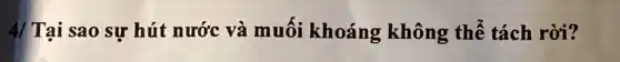 4/ Tại sao sự hút nước và muối khoáng không thể tách rời?