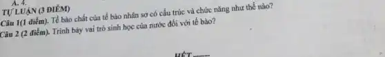 A. 4.
TỰ LUẬN (3 ĐIỂM)
Câu 1(1 điểm). Tế bào chất của tế bào nhân sơ có cấu trúc và chức nǎng như thế nào?
Câu 2 (2 điểm). Trình bày vai trò sinh học của nước đối với tế bào?