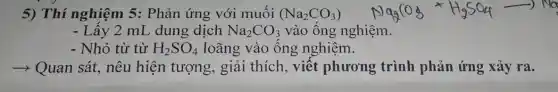 5) Thí nghiệm 5: Phản ứng với muối (Na_(2)CO_(3))
- Lây 2 mL dung dịch Na_(2)CO_(3) vào ống nghiệm.
- Nhỏ từ từ H_(2)SO_(4) loãng vào ống nghiệm.
­­­­→ Quan sát, nêu hiện tượng , giải thích, viết phương trình phản ứng xảy ra.