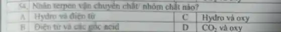 54 Nhân terpen vận chuyển chất/ nhóm chât nào?
A Hydro và điện tử
C Hydro và oxy
B Điện từ và các gốc acid
D CO_(2) và oxy