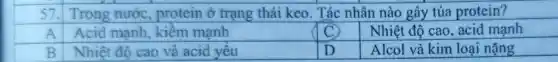 57. Trong nước protein ở trạng thái keo . Tác nhân nào gây tủa protein?
A
Acid mạnh , kiêm mạnh
c
Nhiệt độ cao acid mạnh
Nhiệt độ cao và acid yêu
D
Alcol và kim loại nặng