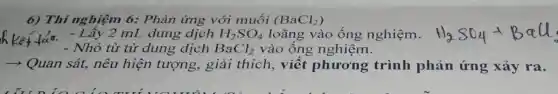 6) Thí nghiệm 6:Phản ứng với muối (BaCl_(2))
ket tao mL dung dịch H_(2)SO_(4) loãng vào ống nghiệm.
- Nhỏ từ từ dung dịch BaCl_(2) vào ống nghiệm.
­­­­→ Quan sát, nêu hiện tượng, giải thích, viết phương trình phản ứng xảy ra.