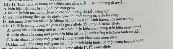 A. Aabo x daoo
Câu 18. Tính trạng số lượng như chiều cao, nǎng suất __ là tính trạng di truyền
A. biểu hiện liên tục, bị chi phối bởi một gene.
B. biểu hiện liên tục, do nhiêu gene chi phối tương tác kiểu cộng gộp.
C. biểu hiện không liên tục, do nhiều gene chi phối tương tác kiểu bổ sung.
D. tính trạng di truyền biểu hiện không liên tục và ít chịu ảnh hưởng của môi trường.
D. khác nhau nhóm máu ABO do 3 gene allele I^A,I^B i quy định:
Câu 19. Hiện tượng tương tác giữa các gene allele đồng trội là cả hai allele
A. giống nhau của cùng một gene đều biểu hiện kiểu hình chung trên kiểu hình cơ thể.
B. khác nhau của cùng một gene đều biểu hiện kiểu hình riêng trên kiểu hình cơ thể.
C. khác nhau của cùng một gene biểu hiện thành kiểu hình trung gian.
D. khác nhau của cùng một gene biểu hiện thành kiểu hình của một trong hai allele đó.