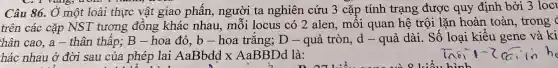 ans would
Câu 86., Ở một loài thực vật giao phân , người ta nghiên cứu 3 cặp tính trạng được quy định bởi 3 locl
trên các cặp NST tương đồng khác nhau , môi locus có 2 alen . môi quan hệ trội lặn hoàn toàn ,trong
hân cao , a - thân thâp; B- hoa đỏ b-hoa trǎng; D- quả tròn, d- quả dài. Số loại kiểu gene và ki
hác nhau ở đời sau của phép lai AaBbdd x AaBBDd là: