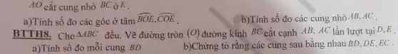 AO cắt cung nhỏ BC ở E.
a)Tính số đo các góc ở tâm
overline (BOE),overline (COE)
b)Tính số đo các cung nhỏ AB AC
BTTH8 . Cho Delta ABC đều . Vẽ đường tròn (O) đường kính BC cắt cạnh AB,AC lần lượt tại D, E .
a)Tính sô đo môi cung BD
b)Chứng tỏ rǎng các cung sau bằng nhau BD,DE ,EC .