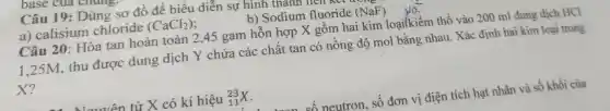 base cưa chung
Câu 19 : Dùng sơ đô để biểu diễn sự hình thann
b)Sodium fluoride (NaF)
a)calisium chloride (CaCl_(2))
Câu 20 : Hòa tan hoàn toàn 2 ,45 gam hỗn hợp X gồm hai kim loạilkiềm thổ vào 200 ml dung dịch HCl
1.25M . thu được dung dịch Y chứa các chất tan có nồng độ mol bằng nhau . Xác định hai kim loại trong
X?
tử X có kí hiệu (}_{11)^23X