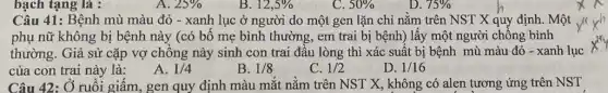 bạch tạng là :
Câu 41: Bệnh mù màu đỏ - xanh lục ở người do một gen lặn chỉ nằm trên NST X quy định. Một
phụ nữ không bị bệnh này (có bố mẹ bình thường, em trai bị bệnh) lấy một người chông bình
thường. Giả sử cặp vợ chồng này sinh con trai đầu lòng thì xác suất bị bệnh mù màu đỏ - xanh lục
của con trai này là:
A. 1/4
B. 1/8
C. 1/2
D. 1/16
Câu 42: Ở ruôi giấm, gen quy định màu mắt nǎm trên NST X, không có alen tương ứng trên NST
A. 25% 
B 12,5% 
C. 50%