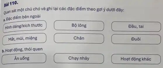 Bài 110.
Quan sát một chú chó và ghi lại các đặc điểm theo gợi ý dưới đây:
a. Đặc điểm bên ngoài
Bộ lông
Chân
Hình dáng/kích thước
Mắt, mũi, miệng
b. Hoạt động, thói quen
Ăn uống
Chạy nhảy
Đầu, tai
Đuôi
Hoạt động khác