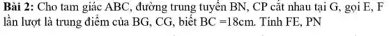 Bài 2: Cho tam giác ABC, đường trung tuyên BN , CP cǎt nhau tại G, gọi E, F
lần lượt là trung điểm của BG, CG , biết BC=18cm . Tính FE, PN