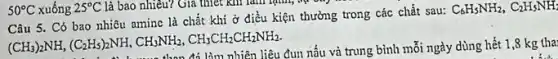 Có bao nhiêu amine là chất khi ở điều kiện thường trong các chất sau:
C_(6)H_(5)NH_(2),C_(2)H_(5)NH_(2)
(CH_(3))_(2)NH_(3),(C_(2)H_(5))_(2)NH,CH_(3)NH_(2),CH_(3)CH_(2)CH_(2)CH_(2)NH_(2)
as đun nấu và trung bình mỗi ngày dùng hết 1,8 kg tha