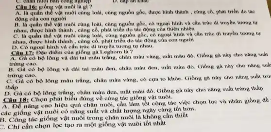 C. chan nuôi ban cong nghiệp
Câu 16: giống vật nuôi là gì ?
A. là quần thể vật nuôi cùng loài cùng nguồn gốc, được hình thành , cùng cố phát triển do tác
động của con người
B. là quần thể vật nuôi cùng loài , cùng nguồn gốc, có ngoại hình và cấu trúc di truyền tương tự
nhau, được hình thành , cùng cổ, phát triển đo tác động của thiên nhiên
C. là quần thể vật nuôi cùng loài , cùng nguồn gốc, có ngoại hình và cấu trúc di truyền tương tự
nhau, được hình thành , cùng cổ, phát triển do tác động của con người
D. Có ngoại hình và cấu trúc di truyền tương tự nhau.
Câu 17: Đặc điểm của giống gà I eghorn là ?
A. Gà có bộ lông và dài tai màu trắng, chân màu vàng, mắt màu đỏ . Giống gà này cho nǎng suất
trứng cao.
B. Gà có bộ lông và dúi tai màu đen, chân màu đen, mắt màu đỏ . Giống gà này cho nǎng suất
trừng cao.
C. Gà có bộ lông màu trắng , chân màu vàng, có cựa to khỏe. Giống gà này cho nǎng suất trứ
thấp
D. Gà có bộ lông trầng, chân màu đen, mắt màu đỏ. Giống gà này cho nǎng suất trứng tháp
Câu 18: Chọn phát biểu đúng về công tác giống vật nuôi.
A. Để nâng cao hiệu quả chǎn nuôi , cần làm tốt công tác việc chọn lọc và nhân giống để
các giống vật nuôi có nǎng suất và chất lượng ngày càng tốt hơn.
B. Công tác giống vật nuôi trong chǎn nuôi là không cần thiết
C. Chỉ cần chọn lọc tạo ra một giống vật nuôi tốt nhất
D. dap an khao