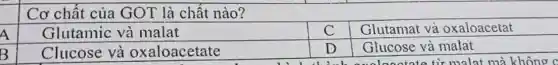 Cơ chất của GOT là chất nào?
A
Glutamic và malat
Glutamat và oxaloacetat
B
Clucose và oxaloacetate
D
Glucose và malat
ootate tir malat mà không c