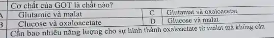 Cơ chất của GOT là chất nào?
Glutamic và malat
Glutamat và oxaloacetat
Clucose và oxaloacetate
Glucose và malat
Cần bao nhiêu nǎng lượng cho sự hình thành oxaloactate từ malat mà không cân