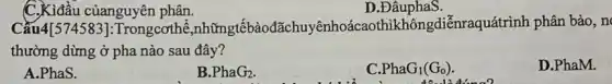 C. Kiđầu củanguyên phân.
D.ĐâuphaS.
Cầu4[574583]:Trongcothể ,nhữngtếbàođãchuyênhoácaoth khôngdiễnraquátrình phân bào, n
thường dừng ở pha nào sau đây?
D.PhaM.
A.PhaS.
B. PhaG_(2).
PhaG_(1)(G_(0))
liting