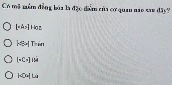 Có mô mềm đồng hóa là đặc điểm của
CO' quan nào sau đây?
[lt Agt ]Hoa
[lt Bgt ] Thân
[lt Cgt ]Rtilde (e)
[lt Dgt ]Lacute (a)