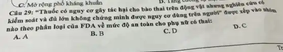 C. Mở rộng phổ kháng khuẩn
Câu 29: "Thuốc có nguy cơ gây tác hại cho bào thai trên động vật nhưng nghiên cứu có
__
kiểm soát và đủ lớn không chứng minh được nguy cơ dùng trên người?" được xếp vào nhóm
nào theo phân loại của FDA về mức độ an toàn cho phụ nữ có thai:
A. A
B. B
C. D
D. C