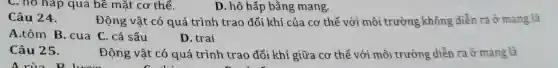 C. no hap qua bề mặt cơ thể.
Câu 24.
D. hô hấp bằng mang.
Động vật có quá trình trao đổi khí của cơ thể với môi trường không diễn ra ở mang là
A.tôm B. cua C. cá sấu
D. trai
Câu 25.
A rùa
Động vật có quá trình trao đổi khí giữa cơ thể với môi trường diễn ra ở mang là
C. 1.