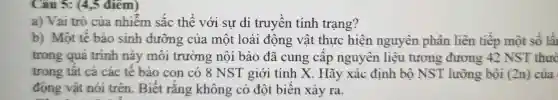 Cau 5: (4 ,5 điểm)
a) Vai trò của nhiệm sắc thê với sự di truyền tính trạng?
b) Một tế bào sinh dưỡng của một loài động vật thực hiện nguyên phân liên tiếp một số lầi
trong quá trình này môi trường nội bào đã cung câp nguyên liệu tương đương 42 NST thườ
trong tât cả các tê bào con có 8 NST giới tính X. Hãy xác định bộ NST lưỡng bội (2n) của
động vật nói trên . Biết rằng không có đột biến xảy ra.