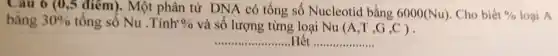 Cau 6 (0 ,5 điểm). Một phân tử DNA có tổng số Nucleotid bằng 6000(Nu). Cho biết %  loại A bằng 30%  tổng số Nu .Tính 0%  và số lượng từng loại Nu (A,T,G,C)
__ Hết __