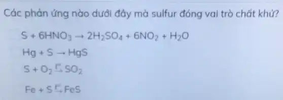 Các phản ứng nào dưới đây mà sulfur đóng vai trò chất khử?
S+6HNO_(3)arrow 2H_(2)SO_(4)+6NO_(2)+H_(2)O
Hg+Sarrow HgS
S+O_(2)xrightarrow (t^0)SO_(2)
Fe+S E'FeS