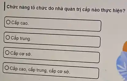 Chức nǎng tổ chức do nhà quản trị cấp nào thực hiện?
Cấp cao.
OCấp trung
Cấp cơ sở
Cấp cao, cấp trung , cấp cơ sở.