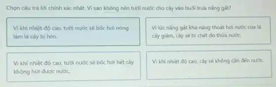 Chọn câu trả lời chính xác nhất. Vì sao không nên tưới nước cho cây vào buổi trưa nâng gát?
Vì khi nhiệt độ cao, tưới nước sẽ bốc hơi nóng
làm lá cây bị héo.
Vì lúc nâng gát khả nǎng thoát hơi nước của lá
cây giảm, cây sẽ bị chết do thừa nước.
Vì khi nhiệt độ cao, tưới nước sẽ bốc hơi hết cây
không hút được nước.
Vì khi nhiệt độ cao, cây sẽ không cần đến nước.