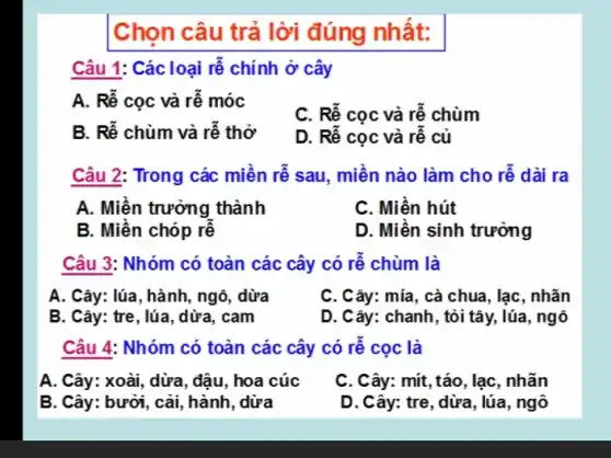 Chọn câu trả lời đúng nhất:
Câu 1: Các loại rễ chính ở cây
A. Rê cọc và rê móc
C. Rê cọc và rê chùm
B. Rê chùm và rê thở
D. Rê cọc và rê củ
Câu 2: Trong các miền rễ sau, miền nào làm cho rễ dài ra
A. Miền trưởng thành
C. Miền hút
B. Miền chóp rễ
D. Miền sinh trưởng
Câu 3: Nhóm có toàn các cây có rê chùm là
A. Cây: lúa, hành, ngô . dừa
C. Cây: mía, cà
B. Cây: tre, lúa , dừa, cam
D. Cây: chanh, tỏi tây,, lúa, ngô
Câu 4: Nhóm có toàn các cây có rê cọc là
A. Cây: xoài, dừa, đậu , hoa cúc
C. Cây: mít, táo, lạc , nhãn
B. Cây: bưởi, cải , hành, dừa
D. Cây: tre, dừa , lúa, ngô