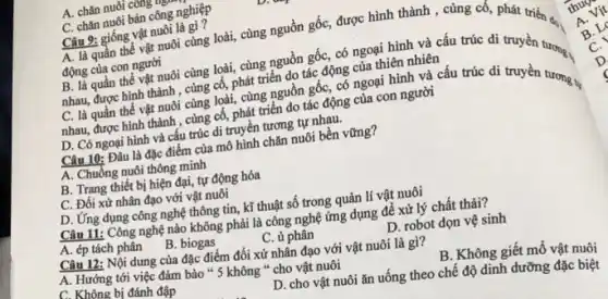 A. chǎn nuôi công ve
C. chǎn nuôi bán công nghiệp
Câu 9: giống vật nuôi là gì ?
A. là quần thể vật nuôi cùng loài,cùng nguồn gốc, được hình thành , cùng cố phát triển d.
động của con người
B. là quần thể vật nuôi cùng loài,cùng nguồn gốc, có ngoại hình và cấu trúc di truyền tương.
nhau, được hình thành , cùng cố, phát triển do tác động của thiên nhiên
C. là quần thể vật nuôi cùng loài,cùng nguồn gốc, có ngoại hình và cấu trúc di truyền tương tg
nhau, được hình thành , cùng cố, phát triển do tác động của con người
D. Có ngoại hình và cấu trúc di truyền tương tự nhau.
Câu 10: Đâu là đặc điểm của mô hình chǎn nuôi bền vững?
A. Chuồng nuôi thông minh
B. Trang thiết bị hiện đại, tự động hóa
C. Đối xử nhân đạo với vật nuôi
D. Ứng dụng công nghệ thông tin, kĩ thuật số trong quản lí vật nuôi
Câu 11: Công nghệ nào không phải là công nghệ ứng dụng để xử lý chất thải?
A. ép tách phân B. biogas
C. ủ phân
D. robot dọn vệ sinh
Câu 12: Nội dung của đặc điểm đối xử nhân đạo với vật nuôi là gì?
A. Hướng tới việc đảm bảo " 5 không " cho vật nuôi
B. Không giết mổ vật nuôi
C. Không bị đánh đập
D. cho vật nuôi ǎn uống theo chế độ dinh dưỡng đặc biệt