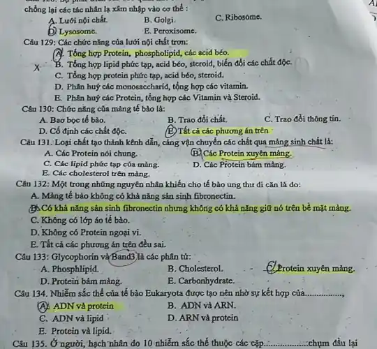 chống lại các tác nhân lạ xâm nhập vào cơ thế :
A. Lưới nội chất.
B. Golgi.
C. Ribosome.
b. Lysosome.
E. Peroxisome.
Câu 129: Các chức nǎng của lưới nội chất trơn:
A. Tổng hợp Protein,phospholipid, các acid béo.
B. Tổng hợp lipid phức tạp, acid béo , steroid, biến đổi các chất độC.
C. Tổng hợp protein phức tạp, acid béo steroid.
D. Phân huỷ các monosaccharid, tổng hợp các vitamin.
E. Phân huỷ các Protein, tổng hợp các Vitamin và Steroid.
Câu 130: Chức nǎng của màng tế bào là:
A. Bao bọc tế bào.
B. Trao đổi chất.
C. Trao đổi thông tín.
D. Cố định các chất độC.
E) Tất cả các phương án trên
Câu 131:Loại chất tạo thành kênh dẫn,, cảng vận chuyển các chất qua màng sinh chất là:
A. Các Protein nói chung.
(B) Các Protein xuyên mảng.
C. Các lipid phức tạp của màng.
D. Các Protein bám màng.
E. Các cholesterol trên màng.
Câu 132: Một trong những nguyên nhân khiến cho tế bào ung thư di cǎn là do:
A. Màng tê bào không có khả nǎng sản sinh fibronectin.
(B. Có khả nǎng sản sinh fibronectin nhưng không có khả nǎng giữ nó trên bê mặt màng.
C. Không có lớp áo tế bào.
D. Không có Protein ngoại vi.
E. Tất cả các phương án trên đều sai.
Câu 133: Glycophorin và Band3)là các phân tử:
A. Phosphlipid.
B. Cholesterol.
(C) Protein xuyên mảng.
D. Protein bám màng.
E. Carbonhydrate.
Câu 134. Nhiễm sắc thể của tế bào Eukaryota được tạo nên nhờ sự kết hợp của __
(A) ADN và protein
B. ADN và ARN.
C. ADN và lipid
D. ARN và protein
E. Protein và lipid.
Câu 135. Ở người,hạch nhân do 10 nhiễm sắc thể thuộc các cặp....	.....chụm đầu lại __