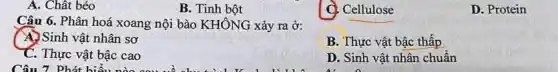 A. Chât béo
B. Tinh bột
C. Cellulose
D. Protein
Câu 6. Phân hoá xoang nội bào KHÔNG xảy ra ở:
A.) Sinh vật nhân sơ
B. Thực vật bậc thấp
C. Thực vật bậc cao
D. Sinh vật nhân chuẩn