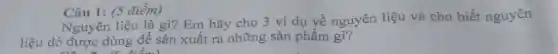 Câu 1: (5 điểm)
Nguyên liệu là gì?Em hãy cho 3 ví dụ về nguyên liệu và cho biết nguyên
liệu đó được dùng để sản xuất ra những sản phẩm gì?