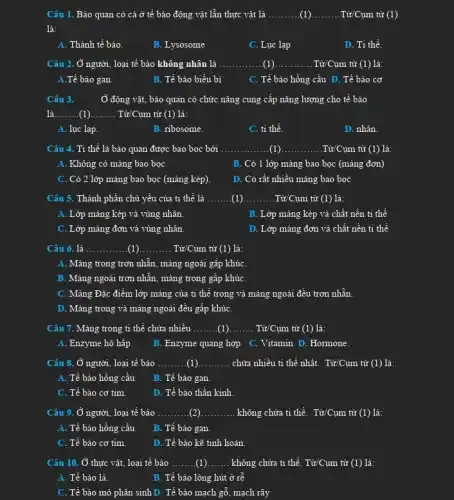 Câu 1. Bảo quan có cả ở tế bảo động vật lẫn thực vật là __ (1) __ .Từ/Cụm từ (1)
là:
A. Thành tế bào.
B. Lysosome
C. Lục lạp
D. Ti thể.
Câu 2. Ở người , loại tế bào không nhân là __ (1). __ . Từ/Cụm từ (1) là:
A.Tế bảo gan.
B. Tế bào biểu bị
C. Tế bào hồng cầu D. Tế bào cơ
Câu 3.	Ở động vật, bảo quan có chức nǎng cung cấp nǎng lượng cho tế bào
là __ (1) __ Từ/Cụm từ (1) là:
A. lục lạp.
B. ribosome.
C. ti thể.
D. nhân.
Câu 4. Ti thể là bào quan được bao bọc bởi __ (1) __ .Từ/Cụm từ (1) là:
A. Không có màng bao bọc
B. Có 1 lớp mảng bao bọc (màng đơn)
C. Có 2 lớp màng bao bọc (mảng kép).
D. Có rất nhiều màng bao bọc
Câu 5. Thành phần chủ yếu của ti thể là __ (1) __ . Từ/Cụm từ (1) là:
A. Lớp màng kép vả vùng nhân.
B. Lớp màng kép và chất nền ti thể
C. Lớp mảng đơn và vùng nhân.
D. Lớp màng đơn và chất nền ti thể
Câu 6. là __ (1) __ . Từ/Cum từ (1) là:
A. Màng trong trơn nhẵn, màng ngoài gấp khúC.
B. Màng ngoài trơn nhẵn, màng trong gấp khúC.
C. Màng Đặc điểm lớp mảng của ti thể trong và màng ngoài đều trơn nhẵn
D. Màng trong và màng ngoài đều gấp khúC.
Câu 7. Màng trong ti thể chứa nhiều __ __ . . Từ/Cụm từ (1) là:
A. Enzyme hô hấp.
B. Enzyme quang hợp . C. Vitamin. D. Hormone.
Câu 8. Ở người , loại tế bào __ __ chửa nhiều ti thể nhất. Từ/Cụm từ (1) là:
A. Tế bào hồng cầu.
B. Tế bảo gan.
C. Tế bào cơ tim.
D. Tế bào thần kinh
Câu 9. Ở người . loại tế bào __ (2) __ không chứa ti thể. Tir/Cum tử (1) là:
A. Tế bào hồng cầu.
B. Tế bảo gan.
C. Tế bào cơ tim.
D. Tế bào kẽ tinh hoàn
Câu 10. Ở thực vật, loại tế bảo __ __ không chứa ti thể . Từ/Cụm từ (1) là:
A. Tế bào lá.
B. Tế bảo lông hút ở rễ
C. Tế bào mô phân sinh D. Tế bảo mạch gỗ, mạch rây