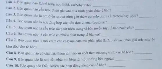 Câu 1. Bào quan nào là nơi tổng hợp lipid, carbohydrate? __
Câu 2. Bào quan nào cấu trúc tham gia vào quả trình phân chia tế bào? __
Câu 3. Bào quan nào là nơi diễn ra quá trình gắn thêm carbohydrate và protein hay lipid? __
Câu 4. Bào quan nào là nơi tổng hợp các tiểu đơn vị của ribosome? __
Câu 5. Bào quan nào là cấu trúc rất phát triển trong tế bào tuyến tụy tế bào bạch cầu? __
Câu 6. Bào quan nào là cấu trúc có nhiều nhất trong tế bào cơ? __
Câu 7. Bào quan nào là nơi chứa các enzyme catalase phân giải H_(2)O_(2) uricase phân giai uric acid để
khừ độc cho tế bào? __
Câu 8. Bào quan nào có cấu trúc tham gia vào sự chết theo chương trình của tế bào? __
Câu 9. Bào quan nào là nơi tiếp nhận tín hiệu từ môi trường bên ngoài? __
Câu 10. Bào quan nào Điều khiển các hoạt động sống của tế bào? __