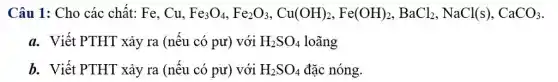 Câu 1: Cho các chất: Fe, Cu, Fe_(3)O_(4),Fe_(2)O_(3),Cu(OH)_(2),Fe(OH)_(2),BaCl_(2),NaCl(s),CaCO_(3)
a. Viết PTHT xảy ra (nếu có pư) với H_(2)SO_(4) loãng
b. Viết PTHT xảy ra (nếu có pư)với H_(2)SO_(4) đặc nóng.