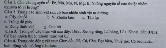 Câu 1. Cho các nguyên tố: Fe , Mn, Mo, N, Mg , B. Những nguyên tô nào thuộc nhóm
nguyên tố vi lượng?
Câu 2. Trong các sinh vật sau có bao nhiêu sinh vật tự dưỡng.
a. Cây chuối
b. Vi khuẩn lam
C. Tảo lục
d. Trùng để giày
e. Rong đuôi chó
g. Con bò
Câu 3. Trong số các thực vật sau đây: Dứa , Xương rồng, Lá bỏng , Lúa, Khoai, Sắn (Đậu).
Có bao nhiêu thuộc nhóm thực vật C_(3)
Câu 4. Trong các động vật sau: Giun đất, Gà, Cá , Chó, Bọt biển , Thuỷ tứC. Có bao nhiêu
loài động vật có ống tiêu hoá.