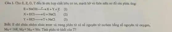 Câu 1. Cho E,Z, G, T đều là các hợp chất hữu cơ no, mạch hở và thỏa mãn sơ đồ các phản ứng: .
E+NaOHxrightarrow (r^ast )X+Y+Z (1)
X+HClarrow G+NaCl (2)
Y+HClarrow T+NaCl (3)
Biết: E chi chứa nhóm chức ester và trong phân tử có số nguyên tử carbon bằng số nguyên tử oxygen,
M_(E)lt 168;M_(Z)lt M_(G)lt M_(T) Tính phân tử khối của T?