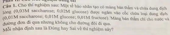 Câu 1. Cho thí nghiệm sau: Một tế bào nhân tạo có màng bán thấm và chứa dung dịch
lỏng (0,03M saccharose ; 0,02M glucose ) được ngâm vào cốc chứa loại dung dịch
(0,01M saccharose ; 0,01M glucose; 0 ,01M fructose). Màng bán thấm chi cho nước và
đường đơn đi qua nhưng không cho đường đôi đi qua.
Mỗi nhận định sau là Đúng hay Sai về thí nghiệm này?