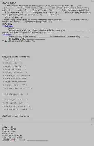 Câu 1: I. AMINE
a. Methylamine dimethylamine , trimethylamine và ethylamine là những chất .. (1) .........., mùi
__ khó chịu, tan nhiều trong __ Các amine có phân tử khối cao hơn là những
chất __ hoặc __ độ tan trong nước __ theo chiều tǎng của phân tử khối.
b. Aniline là chất __ không màu, sôi ở 184^circ C __ trong nước, nặng hơn nước. Để
lâu trong không khí,aniline có nhuốm màu __ vì bị oxi hoá
Các amine đều __
- Nhiệt độ nóng chảy.nhiệt độ sôi của các amine cùng bậc có xu hướng __ ....khi phân tử khối tǎng.
Nhiệt độ sôi : Amine __ hydrocarbon (cùng C hoặc sim M
II. PEPTIDE
1. Khái niệm
Peptide ..... __
Các peptide chứa từ 2, 3, 4,... đơn vị a- aminoacid lần lượt được gọi là __
peptide chứa nhiều đơn vị a-amino acid được gọi là __
2. Cấu tạo
- Amino acid đầu N (đầu bên trái) __ và amino acid đầu C (cuối bên phải) __
- Số liên kết peptide = __
Ví dụ: Viết công thức CT của Gly -Ala
Câu 2: Viết phương trình hóa học
1 CH_(3)NH_(2)+HClarrow 
2. C_(6)H_(5)NH_(2)+HClarrow 
3. CH_(3)NH_(2)+H_(2)SO_(4)ddot (o)arrow 
4 CH_(3)NH_(2)do+H_(2)SO_(4)arrow 
5 C_(2)H_(5)NH_(2)+CH_(3)COOHarrow 
6 C_(2)H_(5)NH_(2)+FeCl_(3)+H_(2)Oarrow 
7 C_(2)H_(5)NH_(2)+Cu(OH)_(2)arrow 
8. CH_(3)NH_(2)+HNO_(2)arrow ^circ H_(6)O_(9)arrow 
9 C_(6)H_(5)NH_(2)+HNO_(2)arrow t^0H_(6)O
10 C_(6)H_(5)NH_(2)+HNO_(2)+HClxrightarrow (o-5^circ C)arrow 
11 C_(6)H_(5)NH_(2)(anilin)+Br_(2)arrow 
12. C_(2)H_(5)NH_(3)NO_(3)+NaOHarrow 
13 (CH_(3))_(3)NHNO_(3)+NaOHarrow 
14. (CH_(3)NH_(3))_(2)CO_(3)+NaOHarrow 
15 C_(2)H_(5)NH_(3)OOCCH_(3)+NaOHarrow 
Câu 3: Viết phương trình hóa học
a. Gly+HCl
b Ala+NaOH
C Glu+NaOH
d. Lys+HCl
e Ala-Gly+ddNaOH
f. Gly - Gly- Val ddHC
g H_(2)NCH_(2)COOH+C_(2)H_(5)OH __