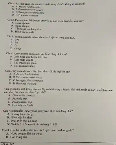 Câu 1: Ký sinh trùng nào sau đây khi đẻ trứng sẽ chết, không đi vào máu?
A. A.Ascaris lumbricoides
B. B.Enterobius vermicularis
C. C.Strongyloides stercoralis
D. D.Trichuris trichiura
Câu 2. Plasmodium falciparum chủ yếu ký sinh trong loại hồng cầu nào?
A: Hồng cầu non
B. Hồng cầu già
C. Tất cả các loại hồng cầu
D. Hồng cầu có nhân
Câu 3. Taenia saginata là loại sán dây có vật chù trung gian nào?
A. Lợn
B: Bò
C. Cá
D. Chuột
Câu 4. Ancylostoma duodenale gây bệnh bằng cách nào?
A. Xâm nhập qua đường tiêu hóa
B. Xâm nhập qua da
C. Lây truyền qua muỗi
D. Lây qua nước uống
Câu 5: Ký sinh nào cách lây bệnh khác với các loại còn lại?
A. A.Ascaris lumbricoides
B. B.Enterobius vermicularis
C: C.Strongyloides stercoralis
D. D.Trichuris trichiura
Câu 6: Sán ký sinh trùng nào sau đây có hình dạng trứng rất nhỏ hình thuẫn có nắp lồi dễ thấy, màu
nâu sẫm, đối diện với nǎp có gai nhỏ?
A: Clonorchis sinensis
B. Fasciola spp
C. Paragonimus spp
D. Fasciolopsis buski
Câu 7: Bướu nấm Aspergillus fumigatus, chọn câu đúng nhất?
A. Không biến chứng
B. Biểu hiện ho khan
C. Phát triển mọi cơ quan
D. Xuất hiện trên người sẵn có hang ở phồi
Câu 8. Giardia lamblia chủ yếu lây truyền qua con đường nào?
A. Nước uống nhiễm ấu trùng
B. Côn trùng cǎn
Mã đè: 202