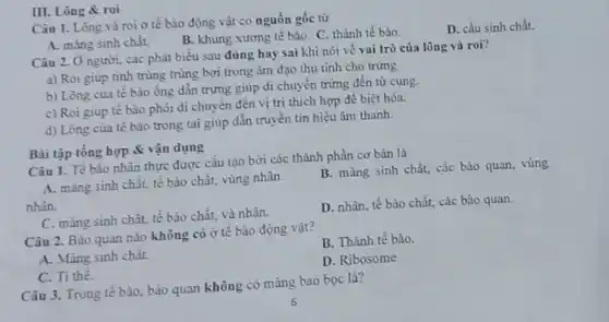 Câu 1. Lông và roi ở tế bào động vật có nguồn gốc từ
D. cầu sinh chất.
B. khung xương tê bào. C. thành tế bào.
III. Lông R roi
A. màng sinh chất.
Câu 2. Ở người.các phát biểu sau đúng hay sai khi nói về vai trò của lông và roi?
a) Roi giúp tinh trùng trùng bơi trong âm đạo thụ tinh cho trứng.
b) Lông của tế bào ống dẫn trứng giúp di chuyển trứng đến từ cung.
c) Roi giup tế bảo phôi di chuyển đến vị trí thích hợp để biệt hóa.
d) Lòng của tế bảo trong tai giúp dẫn truyền tin hiệu âm thanh.
Bài tập tổng hợp 8: vận dụng
Câu 1. Tế bảo nhân thực được cấu tạo bởi các thành phần cơ bản là
A. màng sinh chất.tế bào chất, vùng nhân
nhân.
B. màng sinh chất.các bào quan, vùng
C. màng sinh chất.tế bào chất, và nhân.
D. nhân, tế bào chất, các bào quan.
Câu 2. Bào quan nào không có ở tế bào động vật?
B. Thành tế bào.
A. Màng sinh chât.
D. Ribosome
C. Ti thê.
Câu 3. Trong tê bào, bảo quan không có màng bao bọc là?