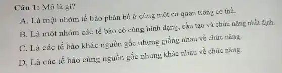 Câu 1: Mô là gì?
A. Là một nhóm tế bào phân bố ở cùng một cơ quan trong cơ thể.
B. Là một nhóm các tế bào có cùng hình dạng, cấu tạo và chức nǎng nhất định.
C. Là các tế bào khác nguồn gốc nhưng giống nhau về chức nǎng.
D. Là các tế bào cùng nguôn gốc nhưng khác nhau về chức nǎng.