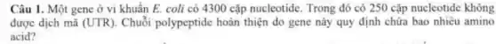 Câu 1. Một gene ở vi khuẩn E coli có 4300 cặp nucleotide. Trong đó có 250 cặp nucleotide không
được dịch mã (UTR ). Chuỗi polypeptide hoàn thiện do gene này quy định chứa bao nhiêu amino
acid?