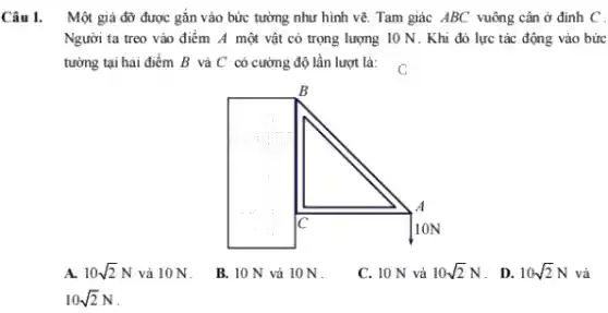 Câu 1. Một giá đỡ được gắn vào bức tường như hình vẽ. Tam giác ABC vuông cân ở đỉnh C.
Người ta treo vào điểm A một vật có trọng lượng 10 N. Khi đó lực tác động vào bức
tường tại hai điểm B và C có cường độ lần lượt là: C
A. 10sqrt (2)N và 10N.
B. 10 N vả 10 N
C. 10 N vả 10sqrt (2)N . D.
10sqrt (2)N và
10sqrt (2)N